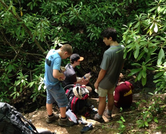 AT 2017 May Unicoi Gap IMG_0076